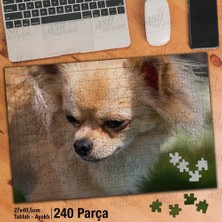 Asilmeydan Asil Hobi Chihuahua - Sarı Tüylü Köpek - Hayvan Yapboz -Ayak Destekli Çerçeveli 240 Parça Puzzle