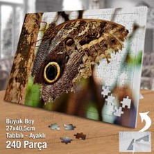 Asilmeydan Asil Hobi Baykuş Kelebek - Ağaç - Doğa - Tabiat Yapboz -Ayak Destekli Çerçeveli 240 Parça Puzzle