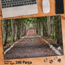 Asilmeydan Asil Hobi Orman Yolu - Düşen Sararmış Yapraklar Yapboz -Ayak Destekli Çerçeveli 240 Parça Puzzle