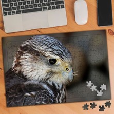 Asilmeydan Yırtıcı Hayvan Şahin 240 Parça Puzzle YAPBOZ-3376350
