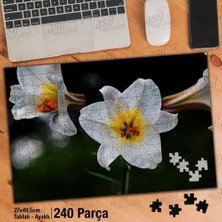 Asilmeydan Asil Hobi Beyaz Zambak - Çiçek - Peyzaj - Bitki Yapboz -Ayak Destekli Çerçeveli 240 Parça Puzzle