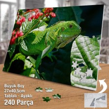 Asilmeydan Asil Hobi Iguana - Yeşil - Bitki - Çiçek - Hayvan Yapboz -Ayak Destekli Çerçeveli 240 Parça Puzzle