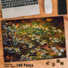 Asilmeydan Asil Hobi Kır Papatyası - Peyzaj - Bitki - Çiçek Yapboz -Ayak Destekli Çerçeveli 240 Parça Puzzle