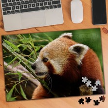 Asilmeydan Ağaçtaki Kızıl Tilki 240 Parça Puzzle YAPBOZ-3508153