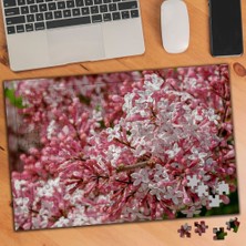 Asilmeydan Japon Kiraz Çiçekleri Bahar Çiçeği 240 Parça Puzzle YAPBOZ-3312038