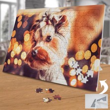 Asilmeydan Terrier Cinsi Sevimli Köpek  240 Parça Puzzle YAPBOZ-75013