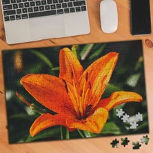 Asilmeydan Turuncu Egzotik Çiçek 240 Parça Puzzle YAPBOZ-3520837