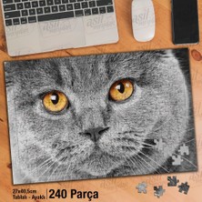 Asilmeydan Asil Hobi Scottish Fold - Gri Tüylü Sevimli Kedi Yapboz-Ayak Destekli Çerçeveli 240 Parça Puzzle