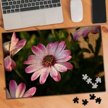 Asilmeydan Pembe Çiçek - Peyzaj 240 Parça Puzzle YAPBOZ-3442752