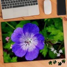 Asilmeydan Mordan Beyaza Geçişli Çiçek 240 Parça Puzzle YAPBOZ-3486833