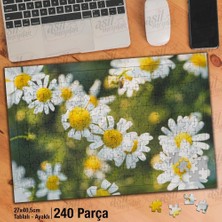 Asilmeydan Asil Hobi Papatya - Doğa - Çiçek - Bitki - Peyzaj Yapboz -Ayak Destekli Çerçeveli 240 Parça Puzzle