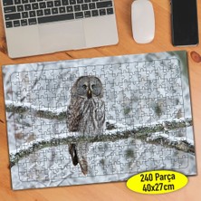 Asilmeydan Kış Mevsiminde Sevimli Baykuş 240 Parça Puzzle YAPBOZ-82930