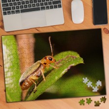 Asilmeydan Yaprakta Böcek Doğa 240 Parça Puzzle Yapboz TABLO-284848169