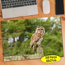 Asilmeydan Sevimli Hayvan Baykuş 240 Parça Puzzle YAPBOZ-45514317