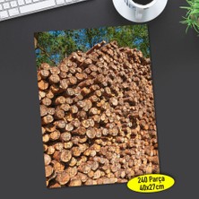 Asilmeydan Ormanda Ağaç Kütük Istifi 240 Parça Puzzle YAPBOZ-64608041