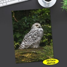 Asilmeydan Ağaç Üstünde Sevimli Baykuş 240 Parça Puzzle YAPBOZ-70712533