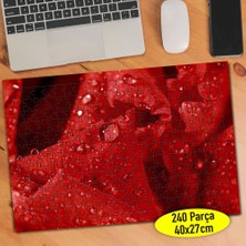 Asilmeydan Su Damlaları Yakın Çekim Kırmızı Gül 240 Parça Puzzle YAPBOZ-407