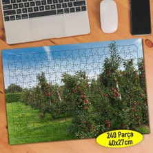 Asilmeydan Meyve Bahçesi Elma Ağacı 240 Parça Puzzle YAPBOZ-91610504