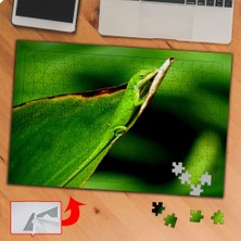 Asilmeydan Yapraktaki Yeşil Kertenkele 240 Parça Puzzle Yapboz TABLO-P019