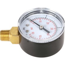 Gahome 50MM 0 ~ 60PSI 0 ~ 4bar Havuz Filtresi Su Basıncı Kadranı (Yurt Dışından)