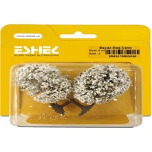 Eshel Beyaz Dağ Çamı--8 Cm--2 Li
