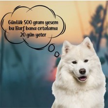 Barftr - Mix Barf 20 kg Salam Köpek Maması (40 Paket - 500 Gr)