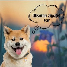 Barftr - Mix Barf 20 kg Salam Köpek Maması (20 Paket - 1000 Gr)