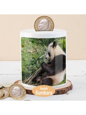 Asilmeydan Bambu Yiyen Sevimli Panda Para Birikim KUMBARASI-135165