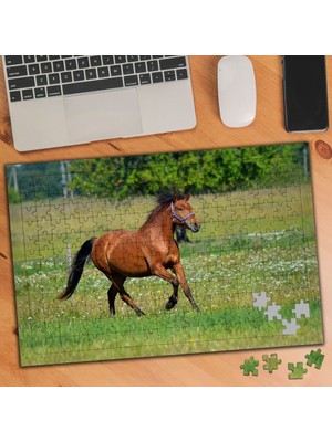 Asilmeydan Dört Nala Asil At 240 Parça Puzzle Yapboz TABLO-100835998