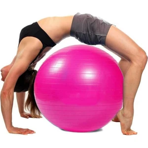 65 cm Pembe Pilates Topu Pilates Denge Yoga Spor Egzersiz Top Jimnastik Fitness Gym