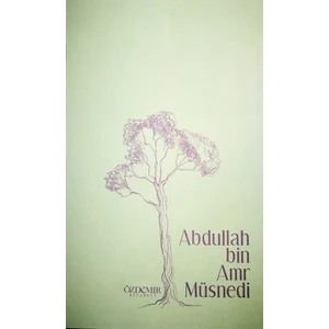 Müsnedi - Abdullah Bin Amr