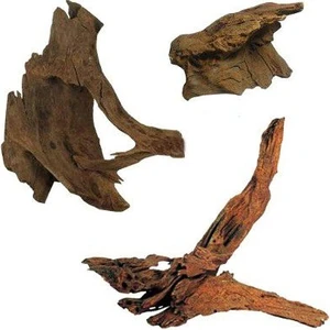 Mangrow Kökü Orta Boy 25-30 cm Medium Orta Boy Mango Kökü