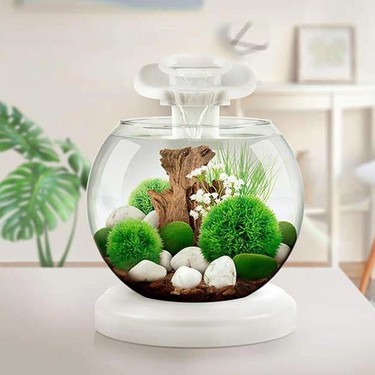 tetra waterfall globe