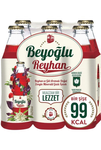 Beyoğlu Reyhan Aromalı Gazoz 6X250 ml