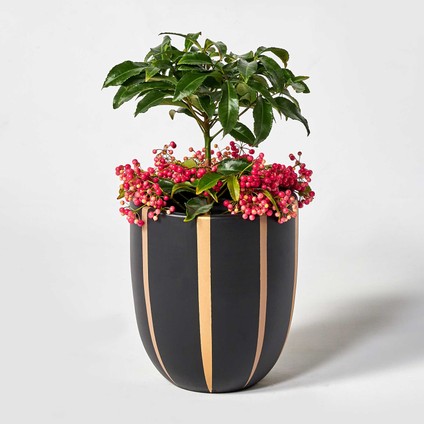 Vega 23 x 24 Saksı fiyatları