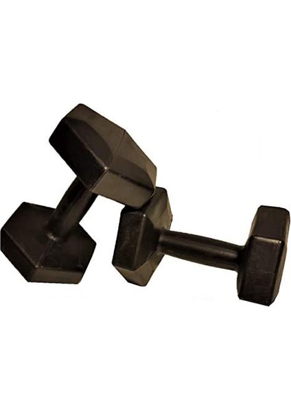 Dambıl Seti 1 kg x 2 Adet 2 kg