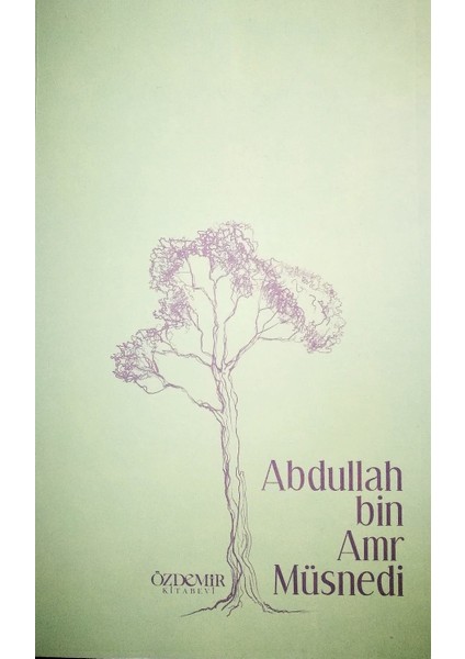 Müsnedi - Abdullah Bin Amr