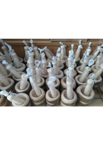 Su Sızdırmaz Bant Lavabo Küvet Kenar Bandı 3.2m fiyatları