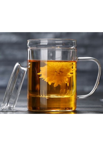 Cam Kapaklı Demleme Süzgeçli Isıya Dayanıklı Borosilikat Camdan Kupa Bardak 350 ml