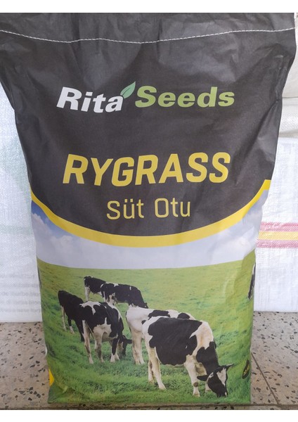 Ryegrass Süt Otu 10 kg