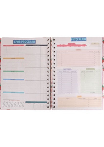 Hayallerinin Peşinden Git Tasarım Konuşan Ajanda Haftalık Planlayıcı Defter fırsatları