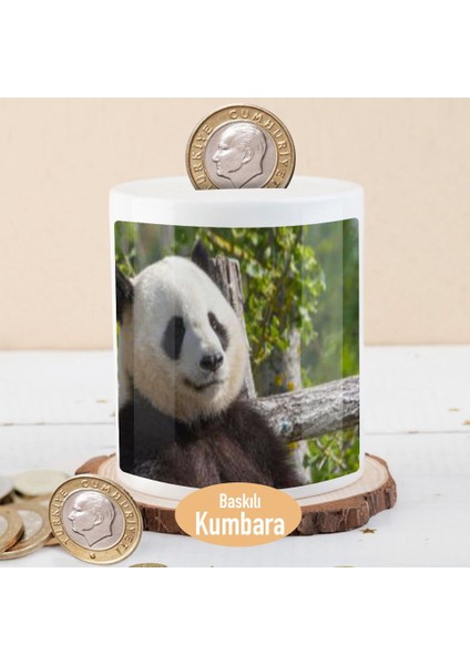Ormanda Gülümseyen Sevimli Panda Para Birikim Kumbarası -135179