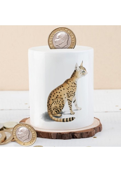 Kaplan Kedi Para Birikim KUMBARASI-53876-43244