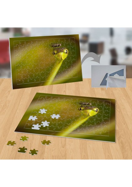 Sinek,yeşil Yılan Doğa, Hayvanlar 99 Parça Puzzle YAPBOZ-P107