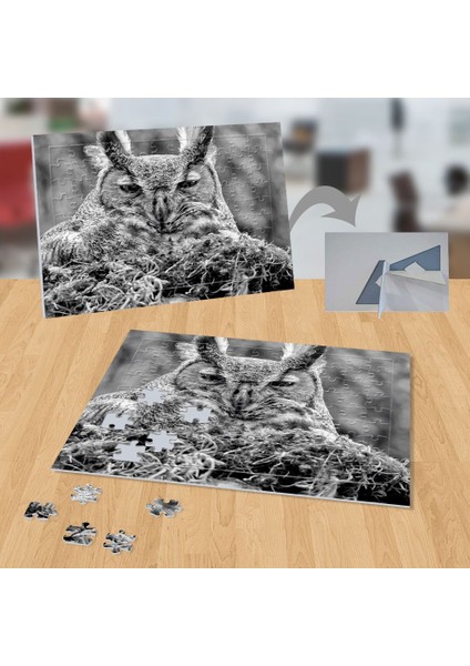 Siyah Beyaz Baykuş, Doğa, Hayvan 99 Parça Puzzle YAPBOZ-P110