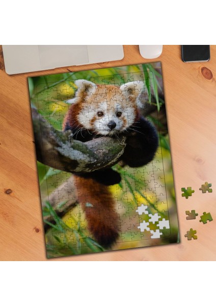 Yavru Kızıl Tilki 240 Parça Puzzle YAPBOZ-1852860