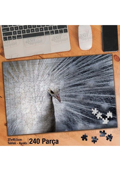 Asil Hobi Beyaz Tüylü Tavus Kuşu - Doğa -Hayvan Yapboz - Ayak Destekli Çerçeveli 240 Parça Puzzle