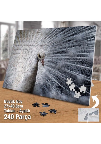Asil Hobi Beyaz Tüylü Tavus Kuşu - Doğa -Hayvan Yapboz - Ayak Destekli Çerçeveli 240 Parça Puzzle fiyatları