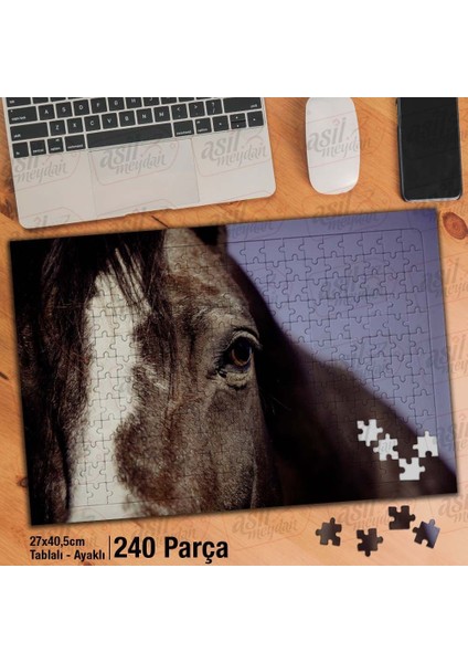 Asil Hobi Kahverengi At - Yakın Çekim -Vahşi Hayvan Yapboz- Ayak Destekli Çerçeveli 240 Parça Puzzle