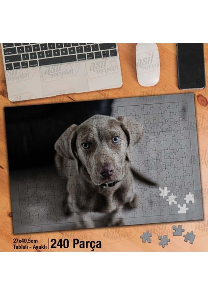 Asil Hobi Kahverengi Sevimli Köpek - Hayvan Yapboz- Ayak Destekli Çerçeveli 240 Parça Puzzle